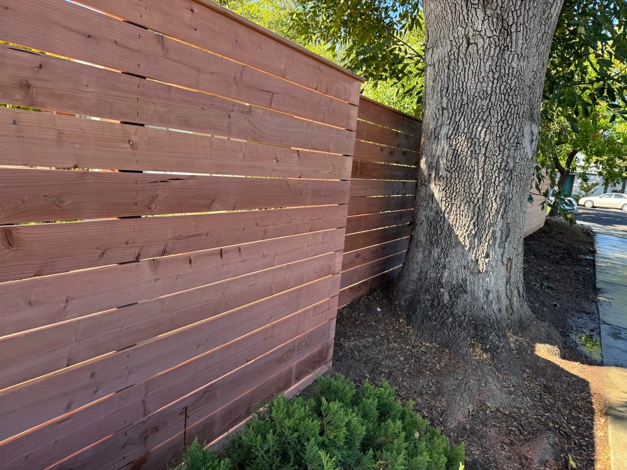 1x6 S3S Around Tree
